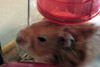 Our friend Sammy
