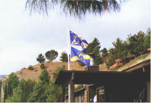 zflags.jpg (30669 bytes)