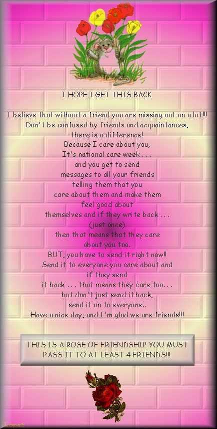 Friendship