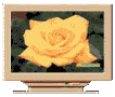 screen