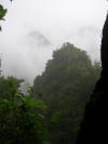 Niebla en Madeira