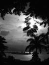 Montego Bay (Jamaica)