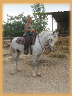wp515a6456_0f.jpg