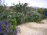 wp7fd7c613_0f.jpg
