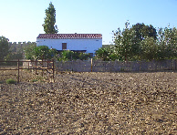 wpa5b1bcd4_0f.jpg