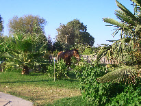wpc685ff59_0f.jpg