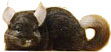 Right Little Chinchilla