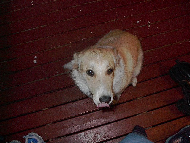 Sandy