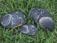 3dogs.jpg (15389 bytes)