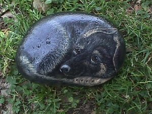 Lizrock.jpg (29109 bytes)