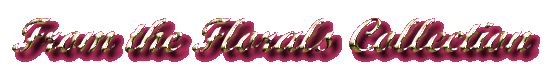floralslogo.gif (13229 bytes)