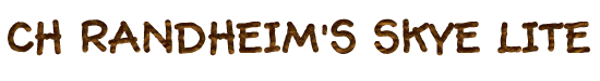 skylitelogo.gif (10045 bytes)
