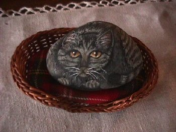 tabby.jpg (25286 bytes)