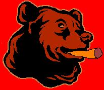 A bear in the woods...