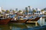 Fishing boats