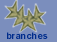 Branches