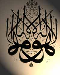 19.jpg tuluth