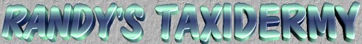 ---===[ RANDY'S TAXIDERMY ]===---