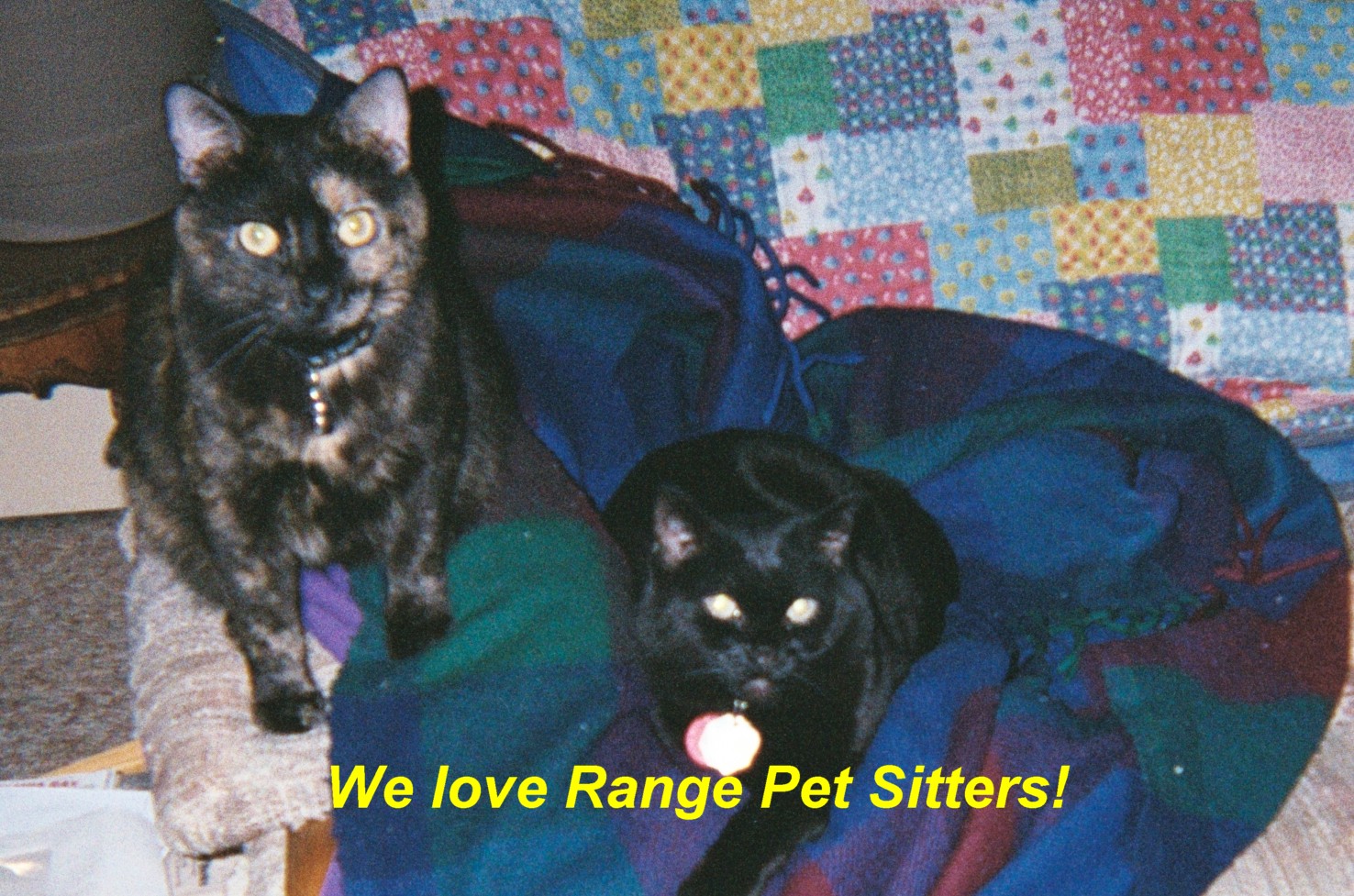 Yes..we REALLY are buddies