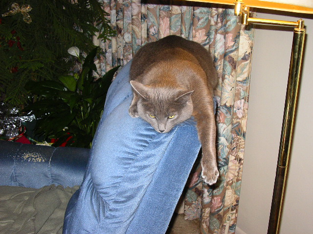 ahhhh...life is GRAND!