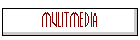 mulitmedia
