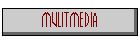 mulitmedia