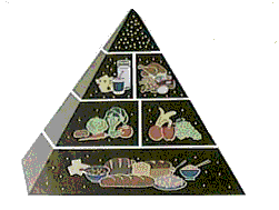 Food Pyramid