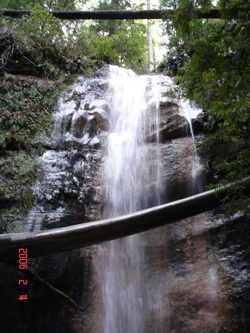 Silver Fall