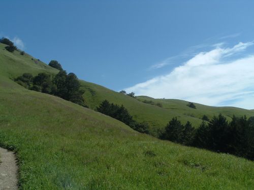 Grass strech Matt Davis-Steep Ravin