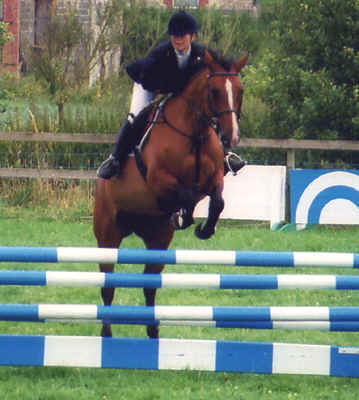 &copy; Horseselect