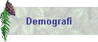 Demografi
