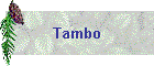 Tambo