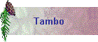 Tambo
