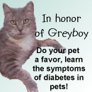 Eddy - In honor of Greyboy