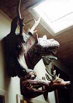 Deerheads Tiger Masks