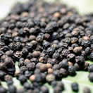 pepper