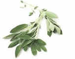 sage