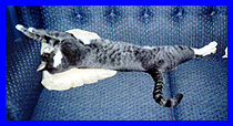 Giovanni Pix