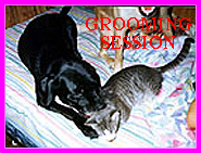 Princess grooming Giovanni