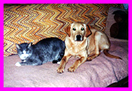 Aislinn and Giovanni on couch