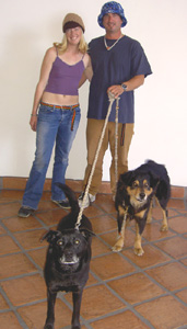dog leash & dog collars