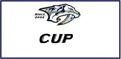 Information On Cup Competitions (COMING SOON)
