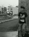 IMG0262A