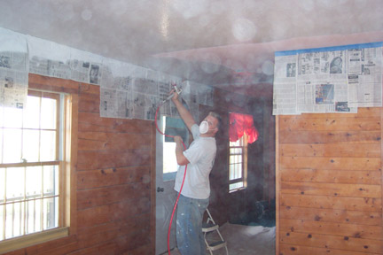 Paint Sprayer