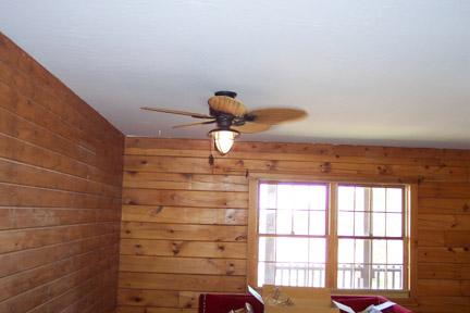 Living Room Ceiling Fan