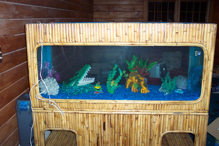 New Fish Tank