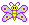 butfly5JS.gif (453 bytes)