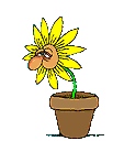 flor11.gif (10939 bytes)