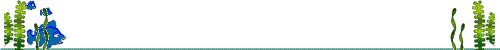 parajeremias.gif (35376 bytes)