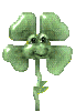 trevo01.gif (30162 bytes)